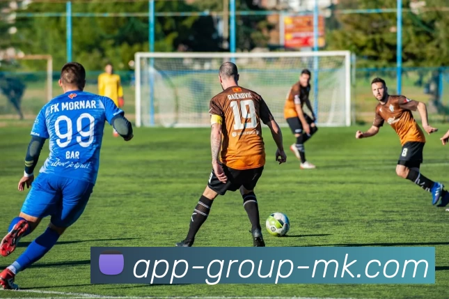 mk体育APP 封面图